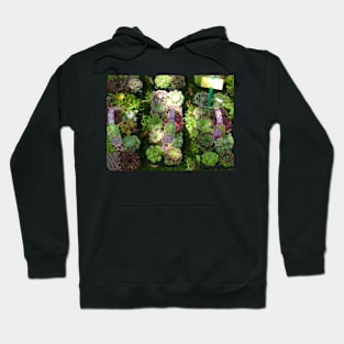 Succulent Baskets Hoodie